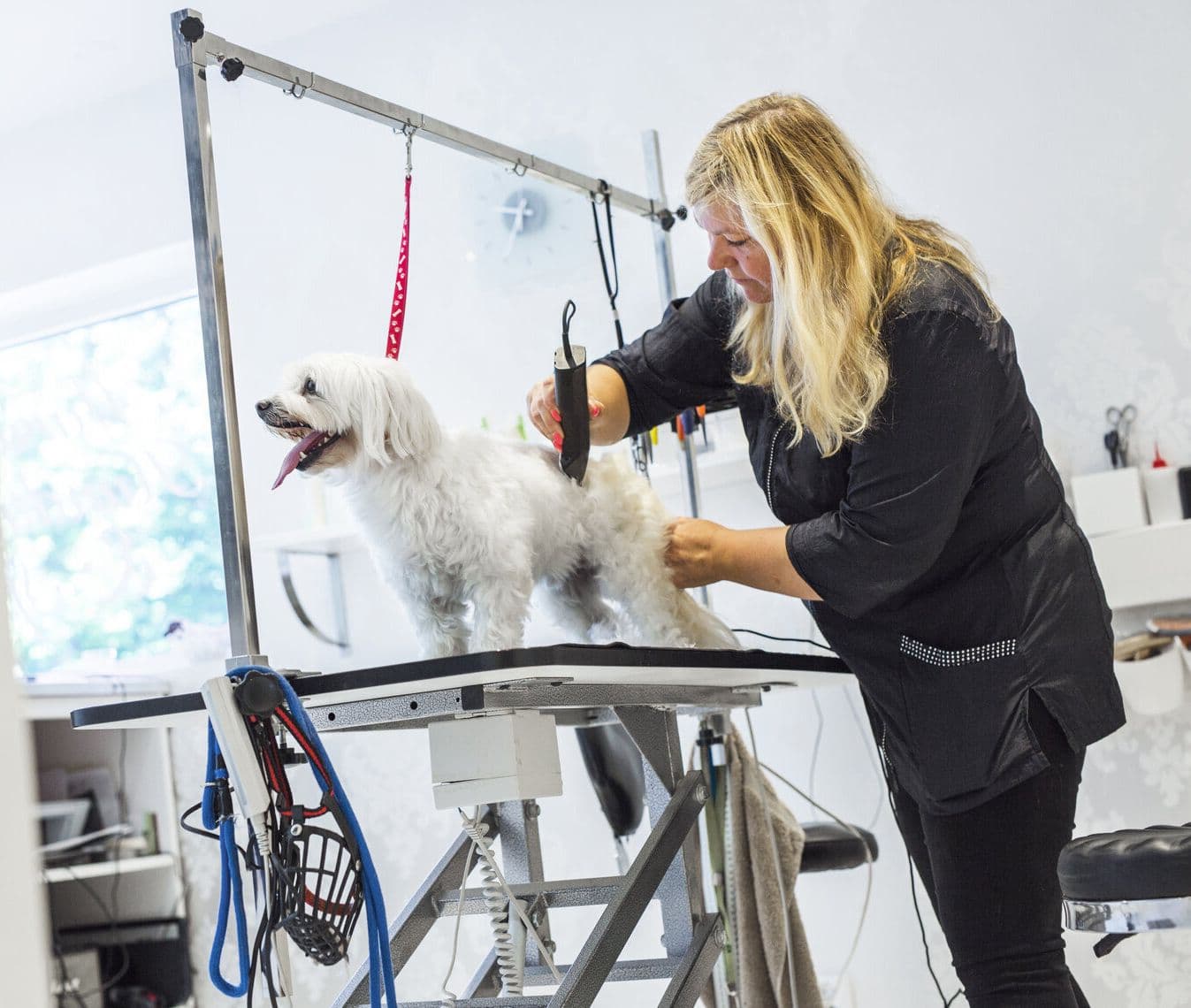 Грумер за работой Грумер за работой